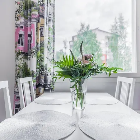 Korkalonkatu * 罗瓦涅米